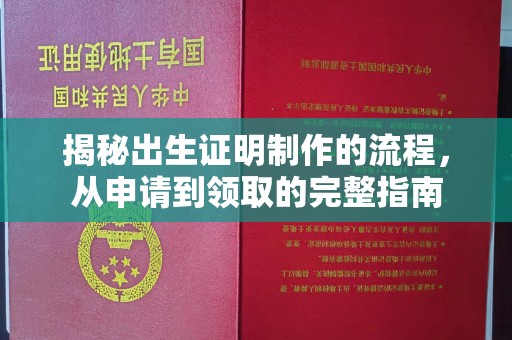京山揭秘出生证明制作的流程，从申请到领取的完整指南