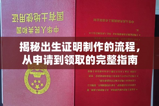 石林揭秘出生证明制作的流程，从申请到领取的完整指南