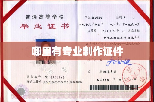 类乌齐哪里有专业制作证件